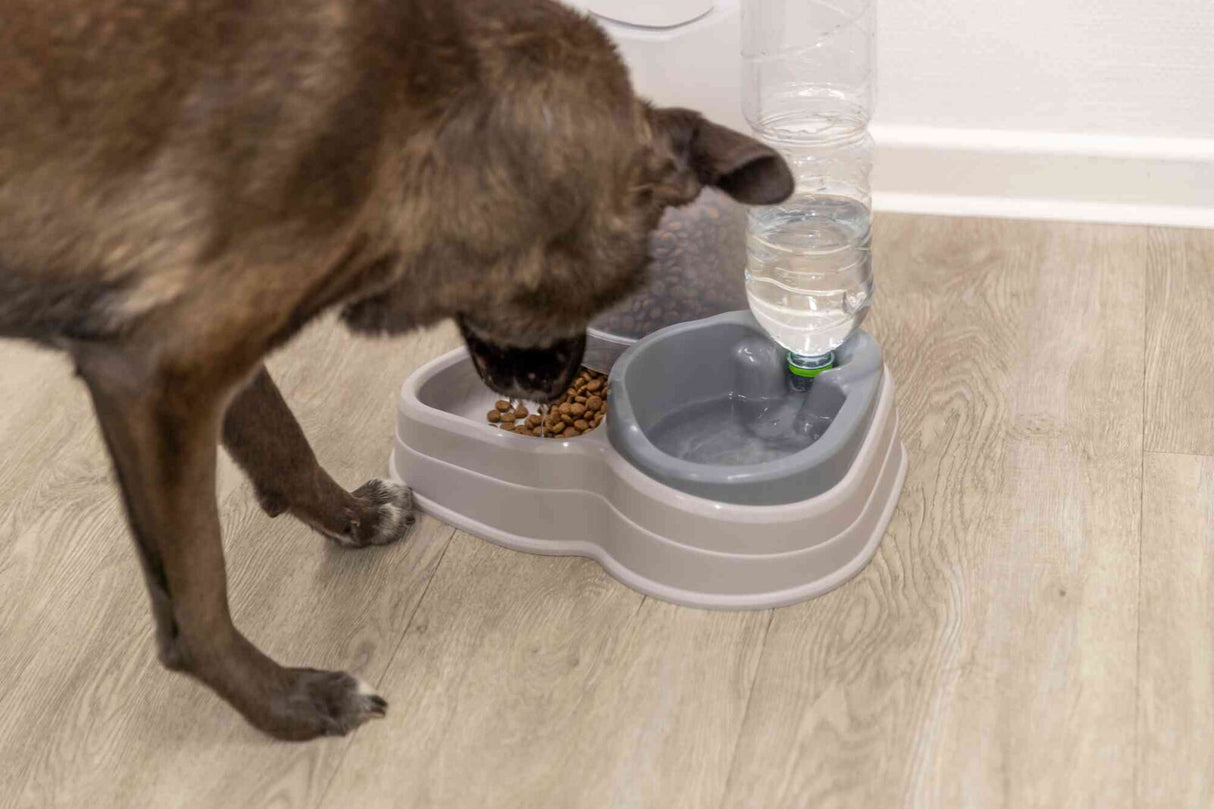 PHO_PRO_DOG_24763-2