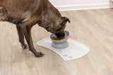 PHO_PRO_DOG_24809-3