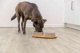 PHO_PRO_DOG_24829-1