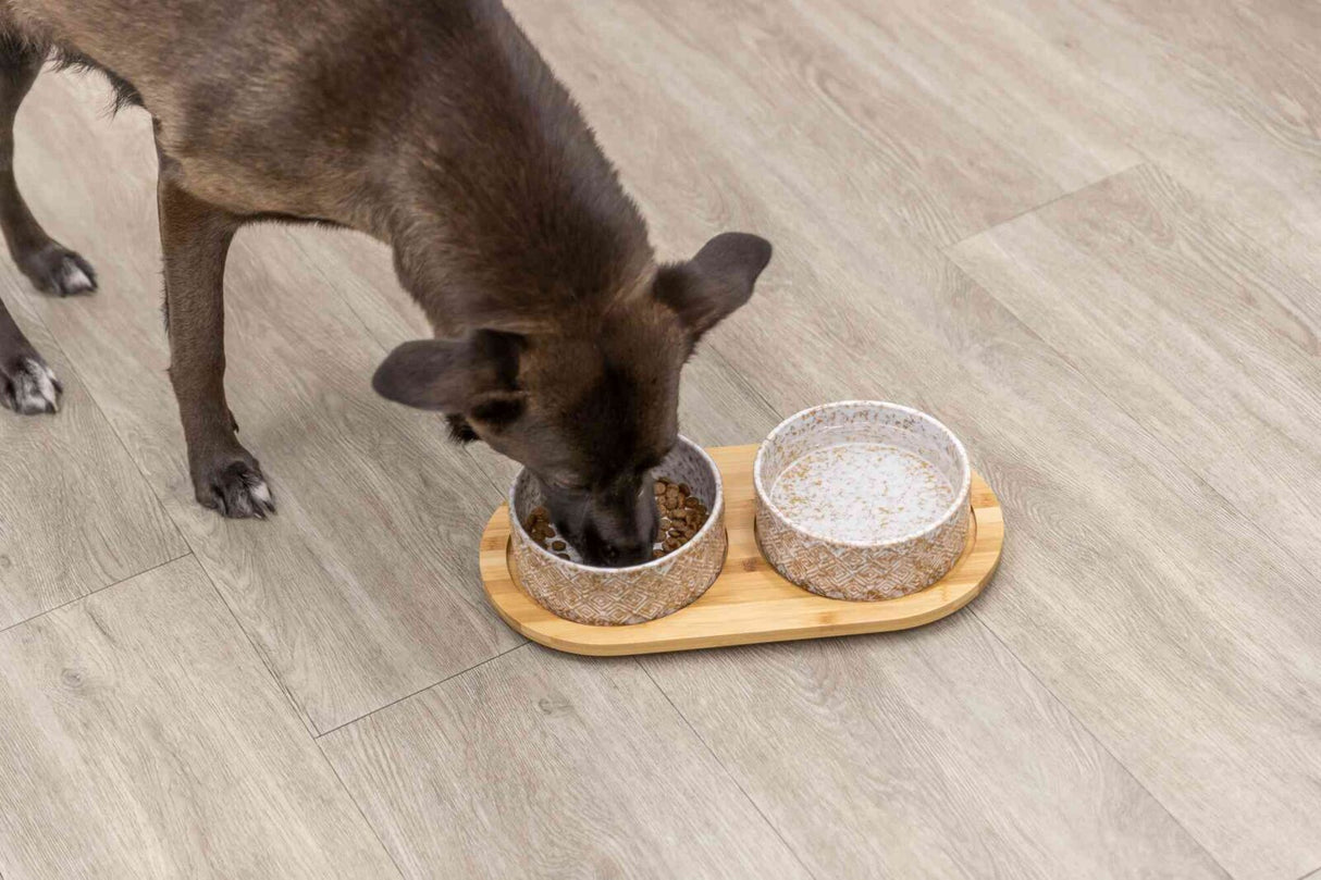PHO_PRO_DOG_24829-2