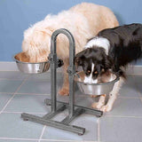 PHO_PRO_DOG_2497-2