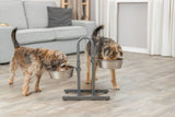 PHO_PRO_DOG_2497-3