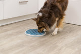 PHO_PRO_DOG_25039-1