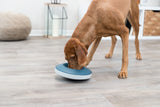PHO_PRO_DOG_25285-3