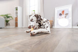 PHO_PRO_DOG_27153-1