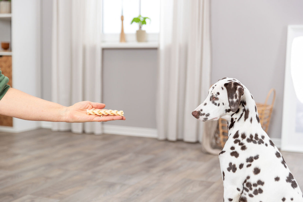 PHO_PRO_DOG_27153-3