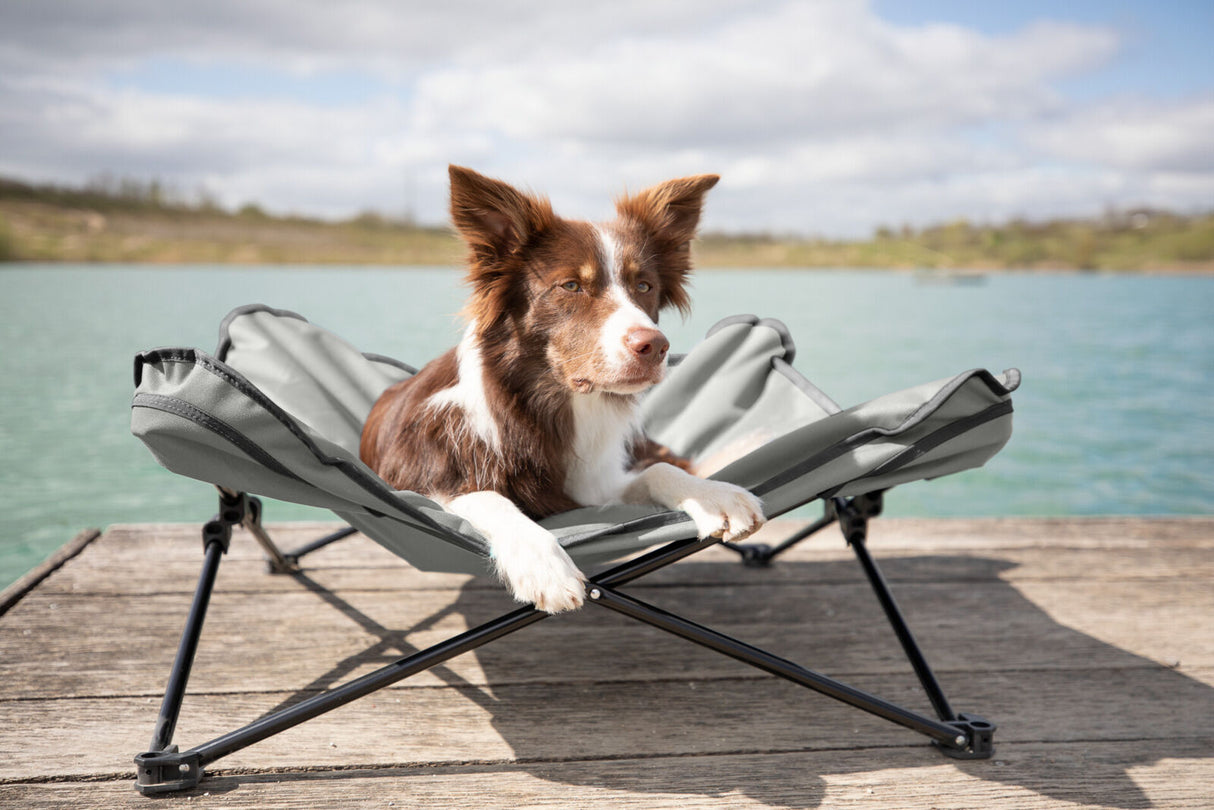 Ein Hund liegt entspannt auf einem grauen Feldbett auf einem Steg am Wasser mit bewölktem Himmel im Hintergrund.