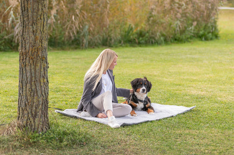 Eine Person sitzt mit einem großen dreifarbigen Hund auf einer Decke im grünen Park.