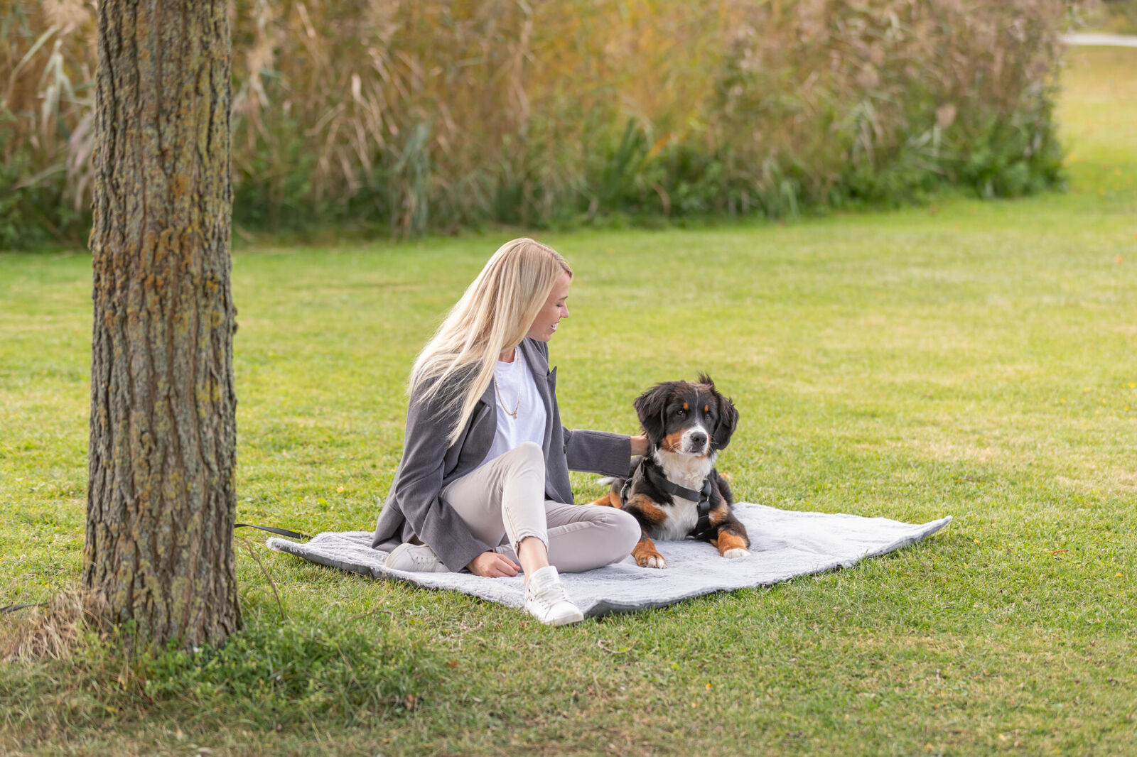 Eine Person sitzt mit einem großen dreifarbigen Hund auf einer Decke im grünen Park.
