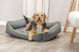PHO_PRO_DOG_28430-28431-28432-2