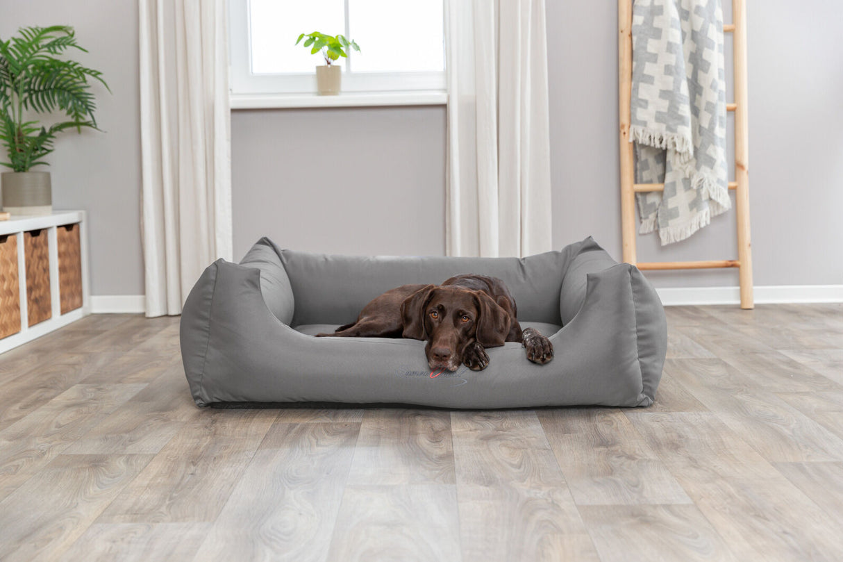 Hund liegt auf grauem Hundebett in einem Raum mit Holzboden, Pflanze und Fensterdeko.