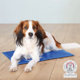 PHO_PRO_DOG_28683-28684-28685-28686-28687-2