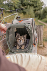 Hunderucksack Rocco mit ausklappbarer Liegefläche