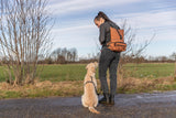 PHO_PRO_DOG_28867-1