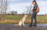 PHO_PRO_DOG_28867-2