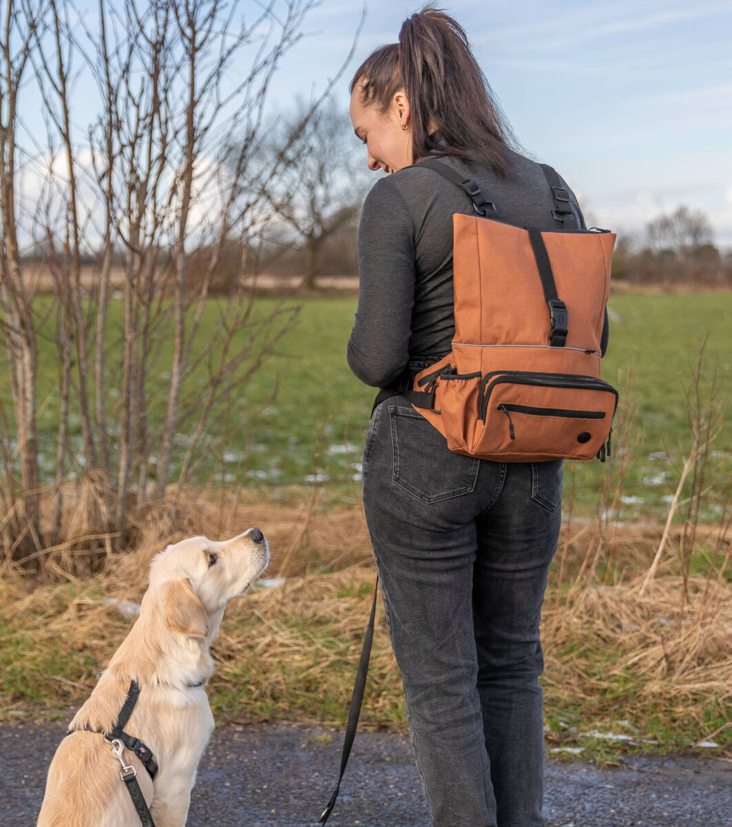 PHO_PRO_DOG_28867-5