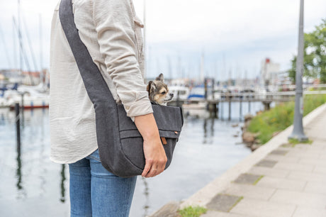 Eine Person trägt eine graue Umhängetasche mit kleinem Hund darin, in einer Hafenumgebung bei leicht bewölktem Himmel.