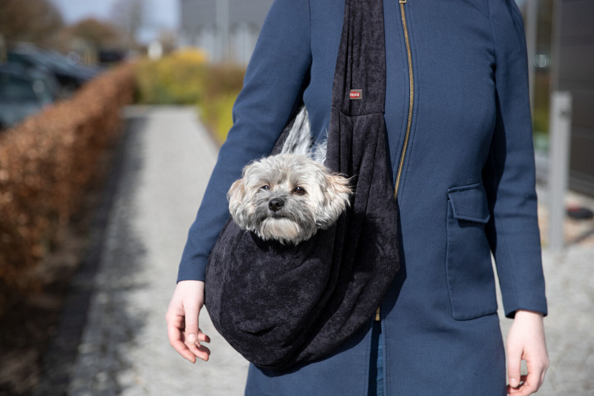 PHO_PRO_DOG_28953-2