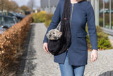 PHO_PRO_DOG_28953-5