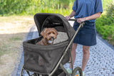 PHO_PRO_DOG_28960-13