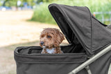 PHO_PRO_DOG_28960-14