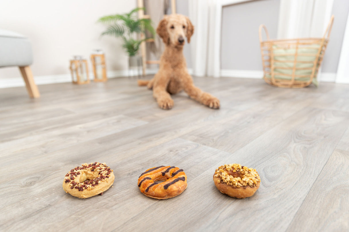 Ein Hund liegt auf dem Boden, während drei Donuts mit verschiedenen Glasuren im Vordergrund auf hellem Holzboden liegen.