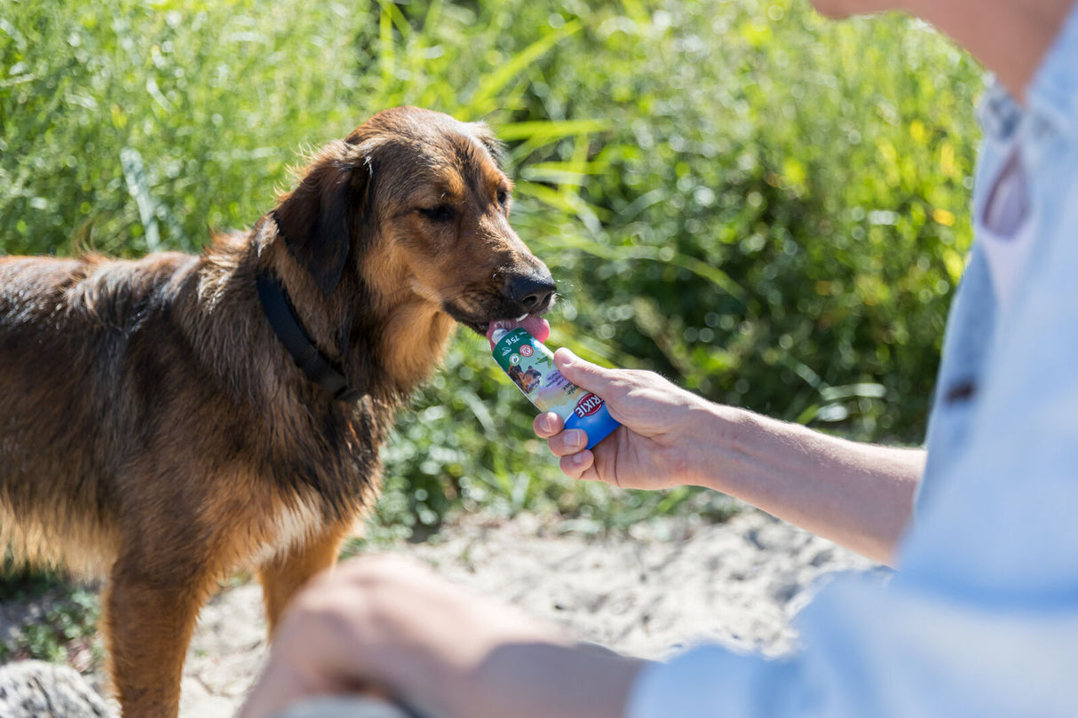 Ein Hund mit braunem Fell leckt an einer Plastikverpackung in einer Hand, im Hintergrund grünes Gras.