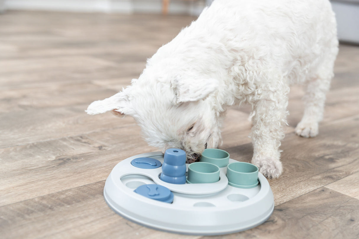 PHO_PRO_DOG_32001-1