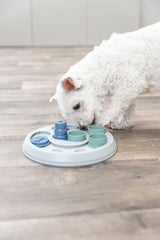 Ein weißer Hund schnüffelt an einem runden, blauen und grauen Spielzeug auf einem Holzfußboden.