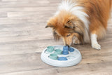 Hund schnüffelt an einem runden, weiß-blauen Spielzeug auf einem Holzboden.