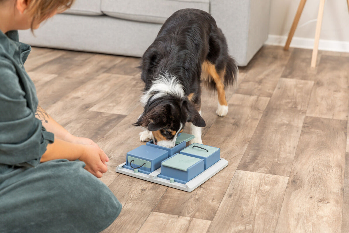 Hund spielt mit einem blauen und grünen interaktiven Spielzeug auf einem Holzboden, während eine Person daneben kniet.