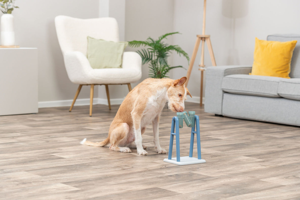 PHO_PRO_DOG_32019-13