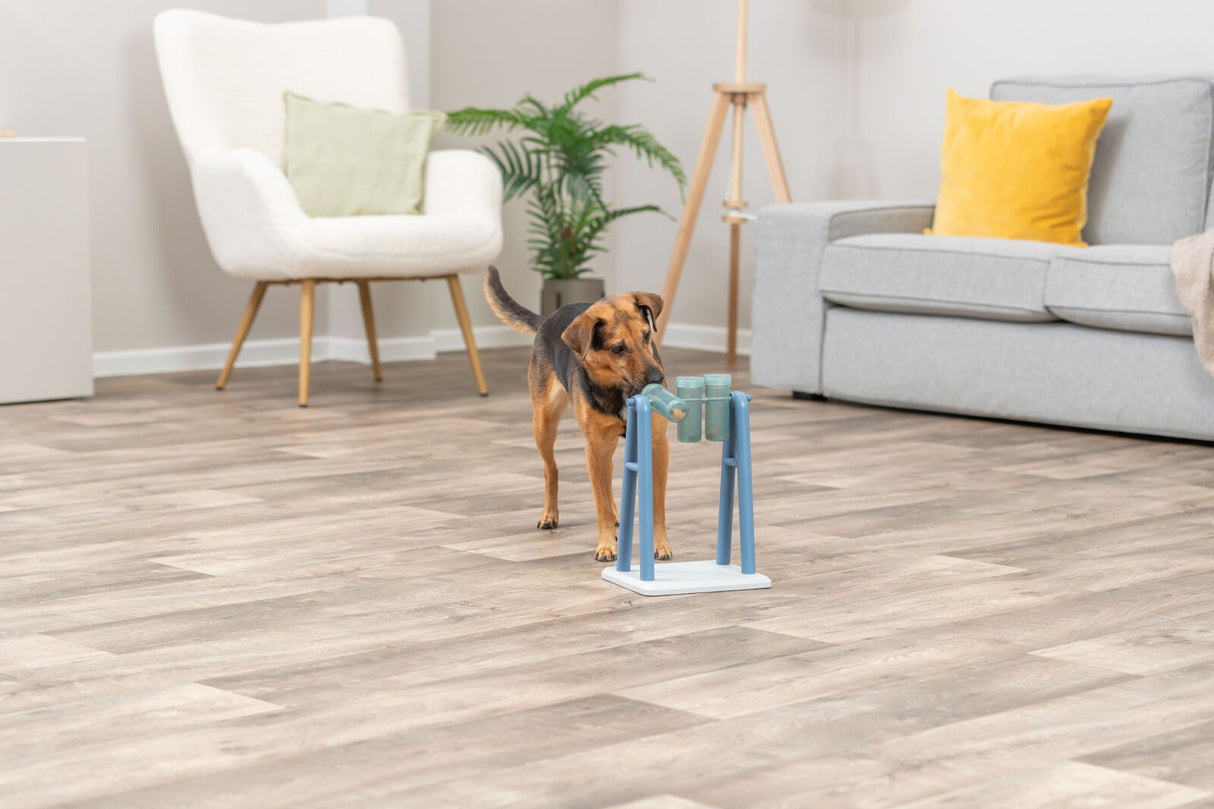 PHO_PRO_DOG_32019-18