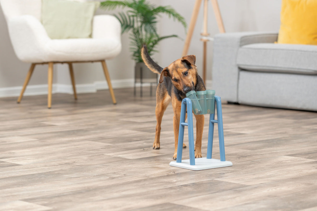 PHO_PRO_DOG_32019-9