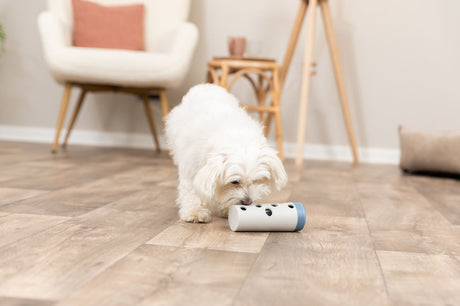 PHO_PRO_DOG_32020-5