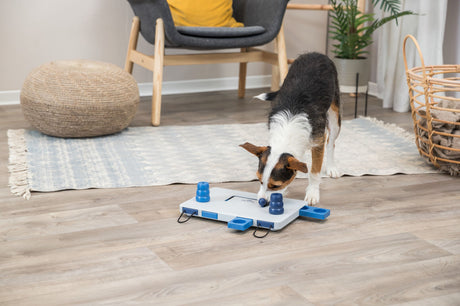 Ein Hund beschäftigt sich mit einem blauen Spielzeug auf einem Holzboden vor einem Sessel mit gelbem Kissen und Pflanzen im Hintergrund.