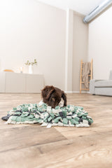 Ein brauner Hund liegt auf einem grünen und grauen Stoffteppich auf einem Holzboden in einem Wohnzimmer.