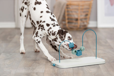 PHO_PRO_DOG_32054-16
