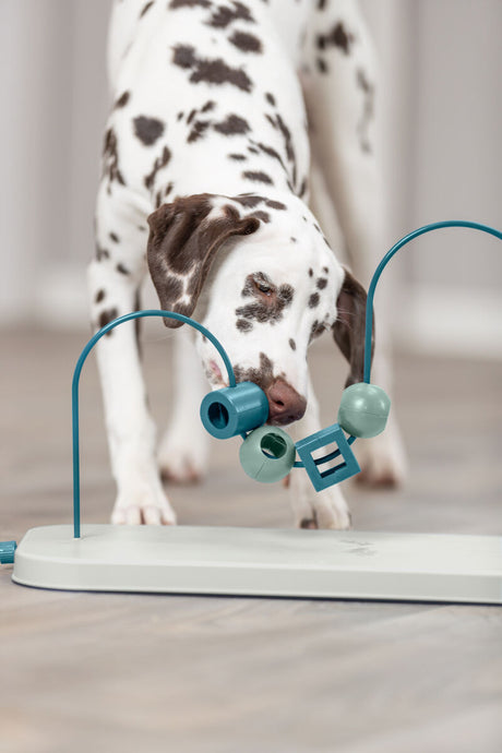 PHO_PRO_DOG_32054-18