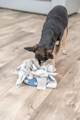 PHO_PRO_DOG_32056-1