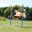 PHO_PRO_DOG_3208-1