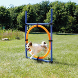 PHO_PRO_DOG_3208-2