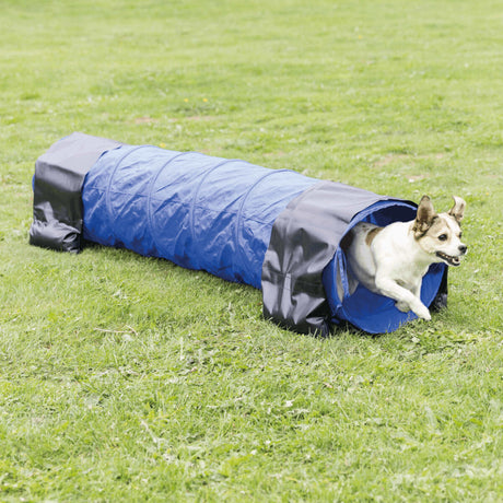 PHO_PRO_DOG_3210-5
