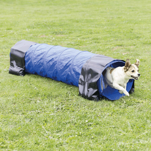 PHO_PRO_DOG_3210-5