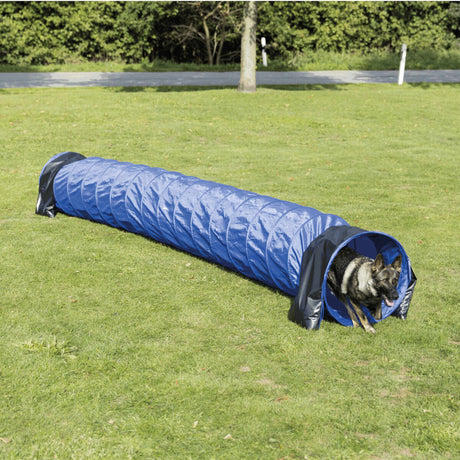 PHO_PRO_DOG_3211-4