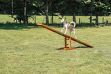 PHO_PRO_DOG_3213-8