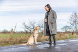 PHO_PRO_DOG_32288-22858-2