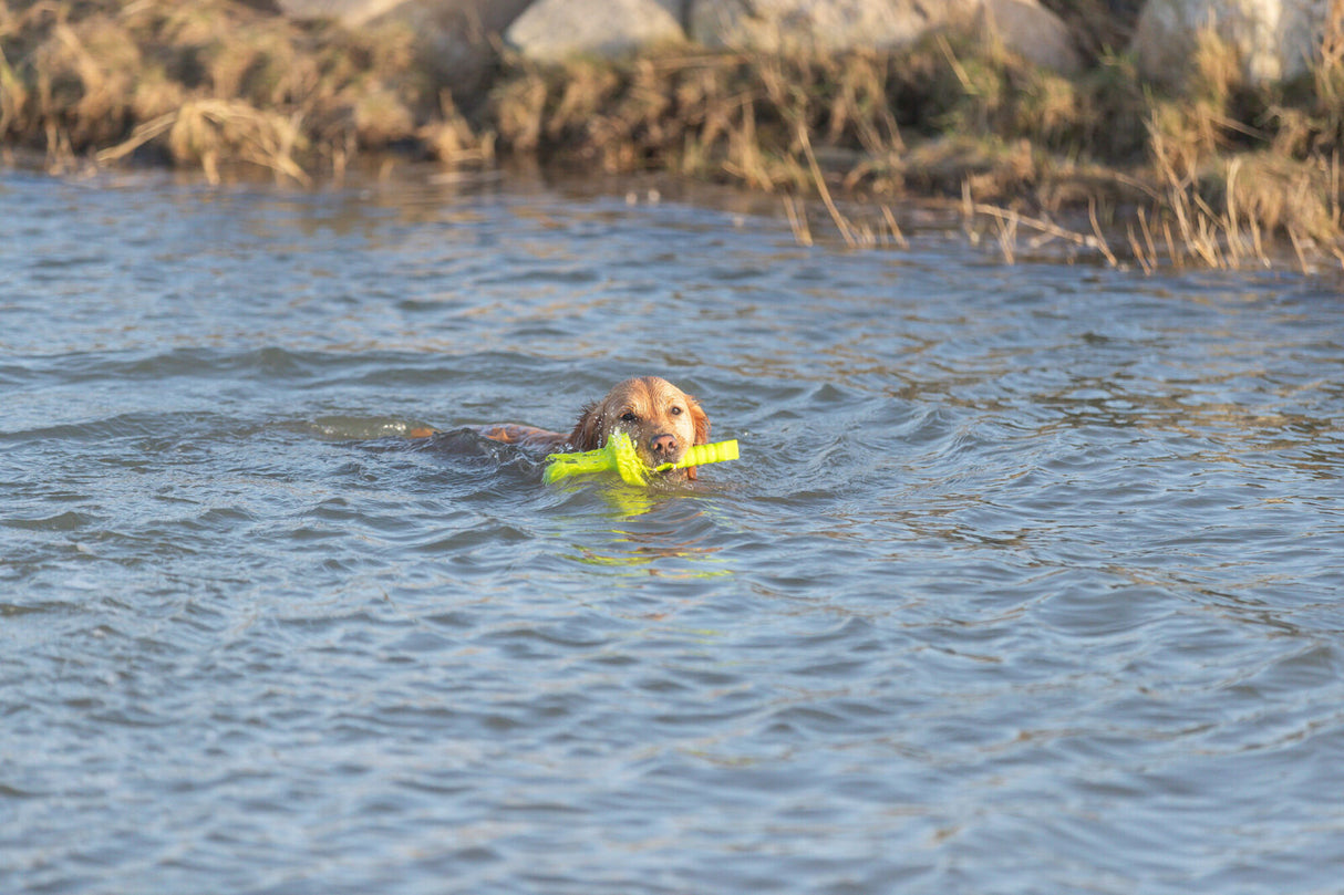 Ein Hund schwimmt im Wasser und hält ein leuchtend gelbes Spielzeug im Maul, im Hintergrund ist Gras.