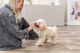 PHO_PRO_DOG_3242-1