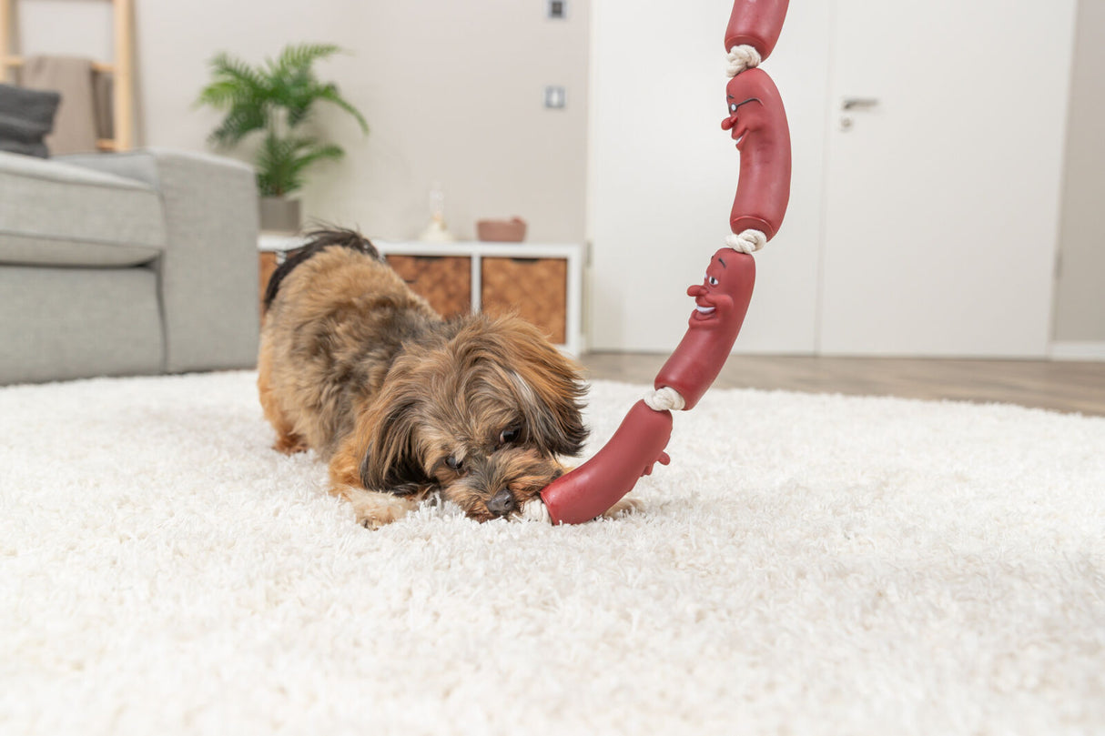 PHO_PRO_DOG_3252-3